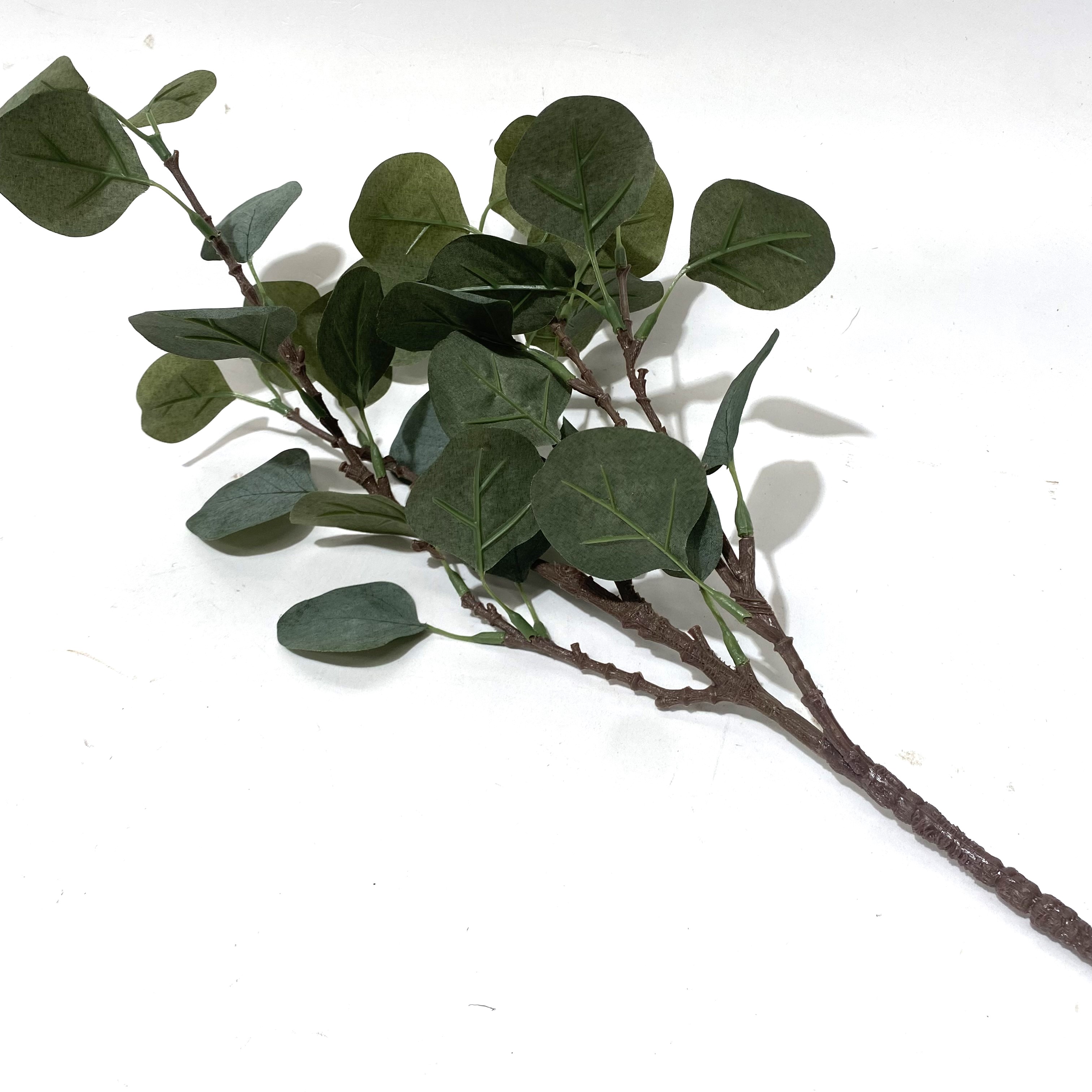 FOLIAGE, Gum Leaf, Brown Stem 60cm